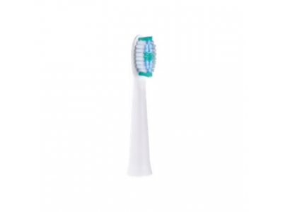 Panasonic | Toothbrush replacement | WEW0974W503 | Heads | For adults | Number of brush heads included 2 | Number of teeth brushing modes Does not apply | White WEW0974W503 5025232856022