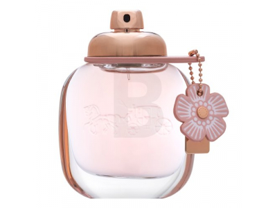 Coach Floral parfimērijas ūdens sievietēm 50 ml PARF105789 3386460095358