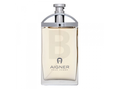 Aigner Pour Homme Tualetes ūdens vīriešiem 100 ml PARF298 4013670509397