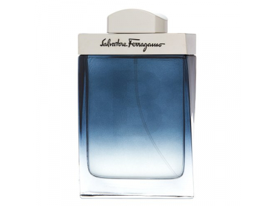 Salvatore Ferragamo Subtil Pour Homme Tualetes ūdens vīriešiem 100 ml PARF13054 8032529110146