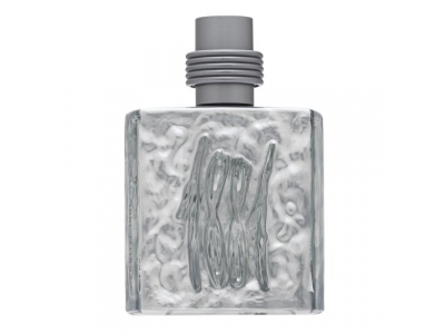 Cerruti 1881 Silver Eau De Toilette 100 ml (man) PARF178791405 5050456523726