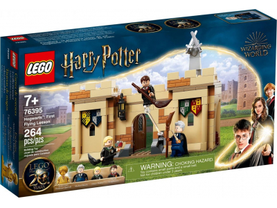 LEGO Harry Potter Hogwarts: First Flying Lesson (76395) LEGO-76395 5702017006185