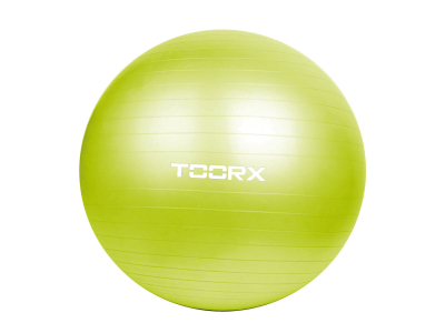 Toorx Gym ball AHF-012 D65cm with pump AHF-012 8029975990460