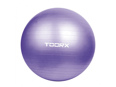 Toorx Gym ball AHF-013 D75cm with pump AHF-013 8029975990477