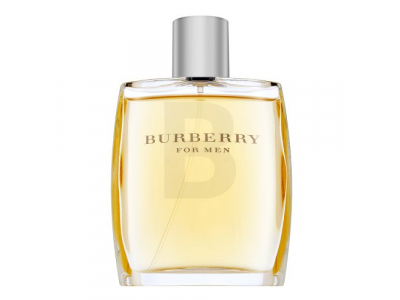 Burberry For Men Tualetes ūdens vīriešiem 100 ml PARF1538 3386460080019