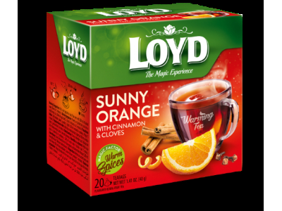 Augļu tēja LOYD Pyramids ar sildošu efektu Sunny Orange ar kanēli un krustnagliņām, 20x2 g  