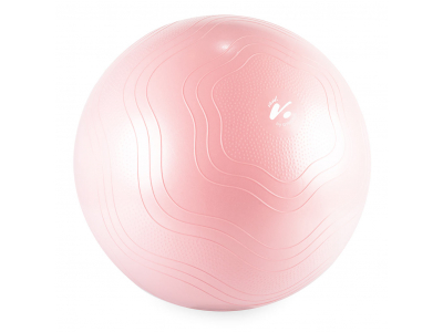 Gym Ball GYMSTICK Vivid line 61334-65 65cm Pink with pump 61334-65 6430062515374