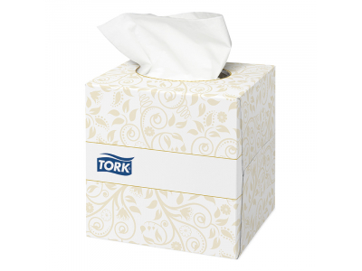 Kosmētiskās salvetes TORK Premium EXTRA SOFT, 2 sl., 100 salvetes, 21 x 20 cm, kubs, baltā krāsā (140278)  